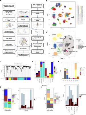 Frontiers Gene Coexpression Network Characterizing Microenvironmental